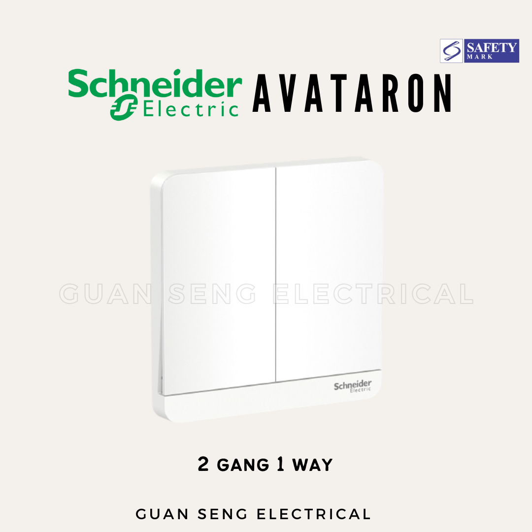 Schneider AvatarON Switch Socket