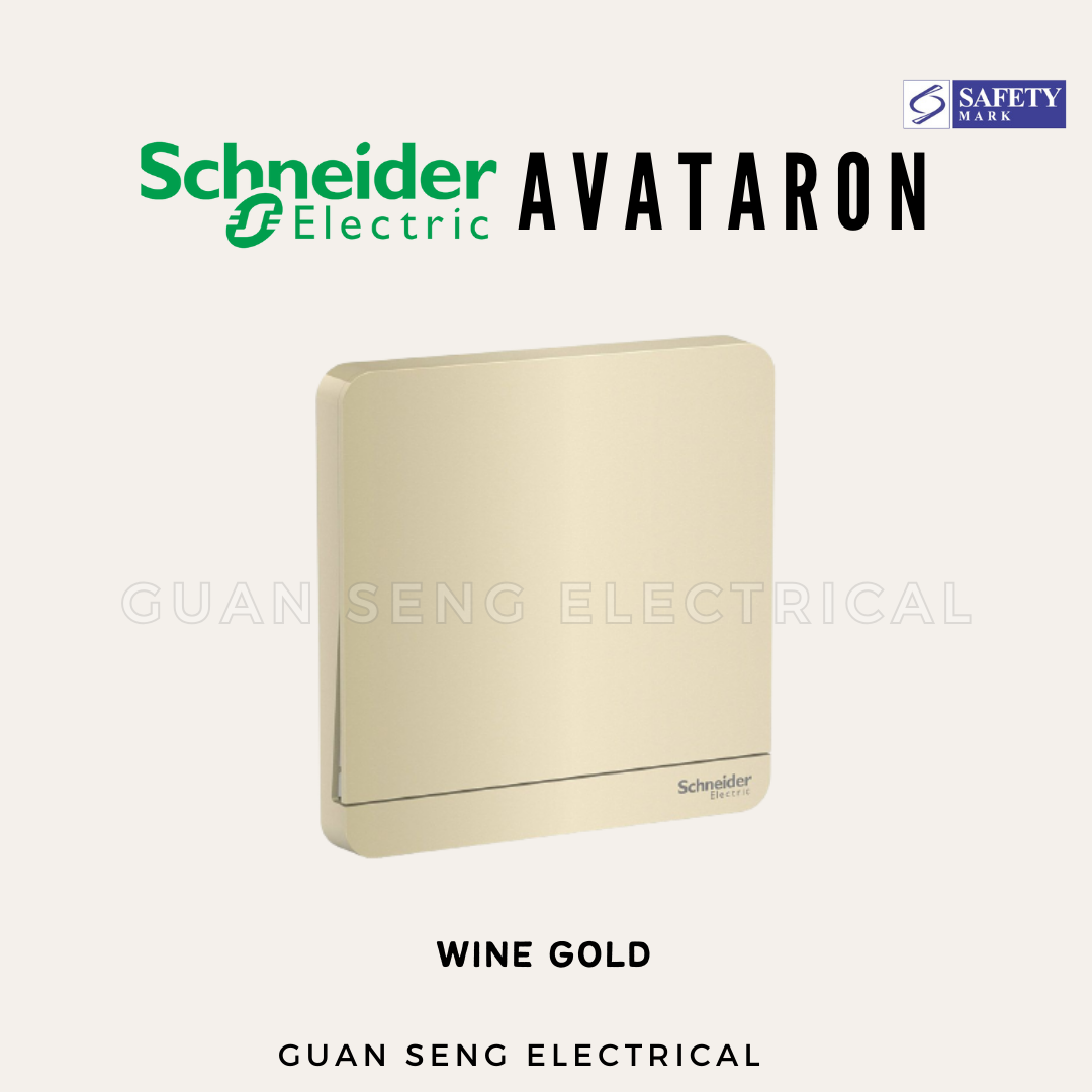 Schneider AvatarON Switch Socket
