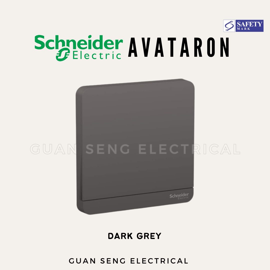 Schneider AvatarON Switch Socket