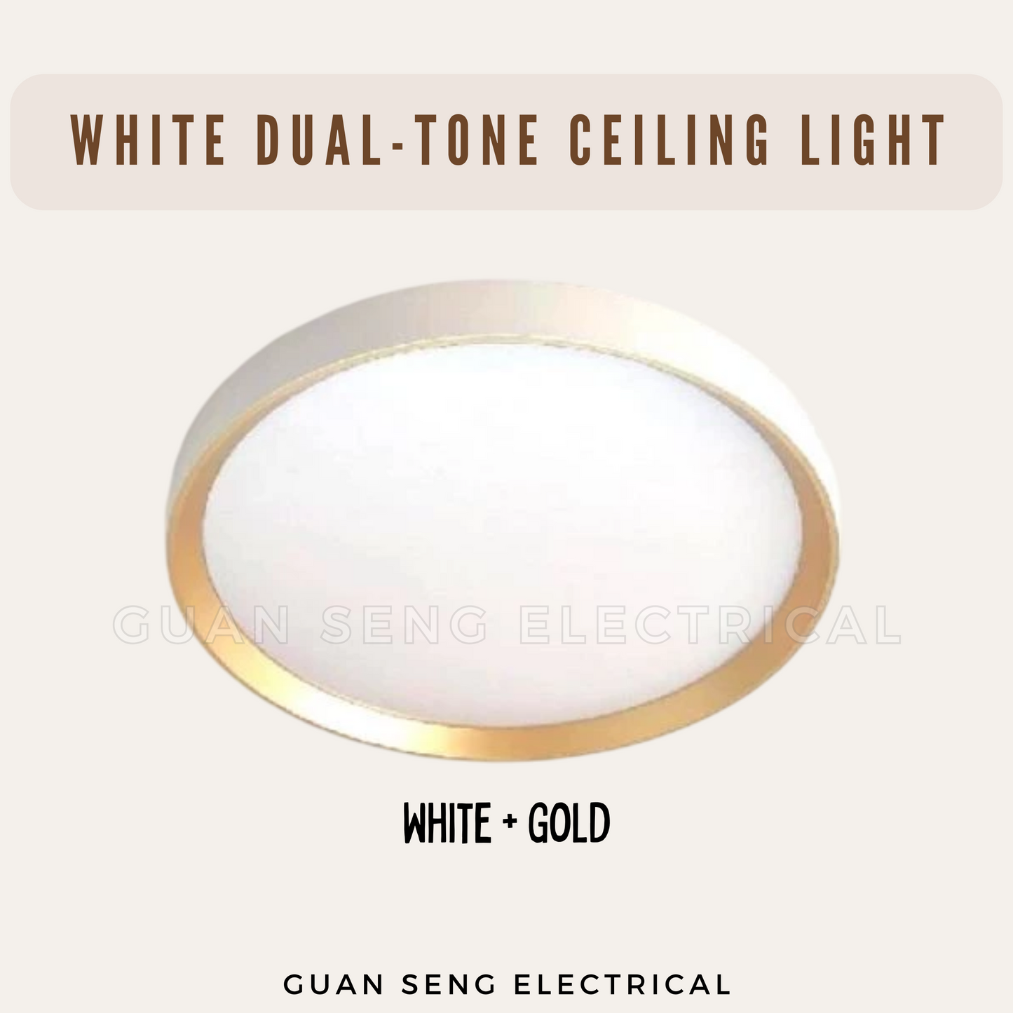 White Dual-Tone Ceiling Light