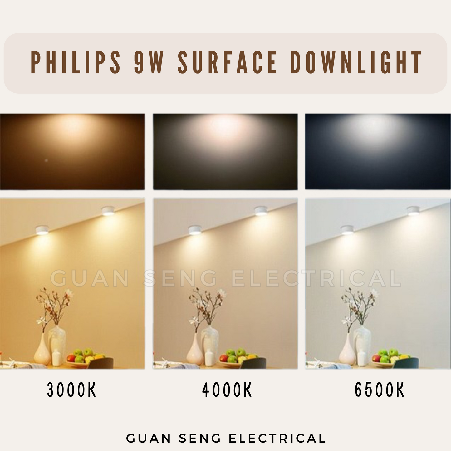 Philips 9W Surface Downlight Black White