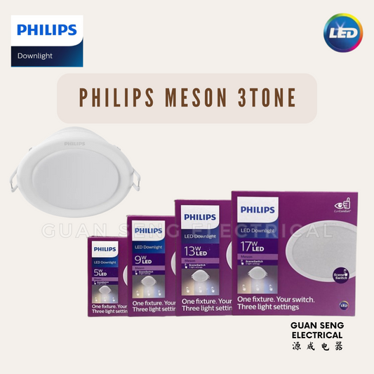 Philips Meson SceneSwitch LED Downlight 3Tone