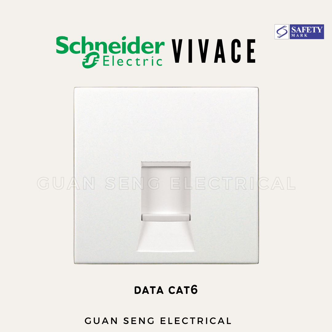 Schneider Electric Vivace Socket and Switch