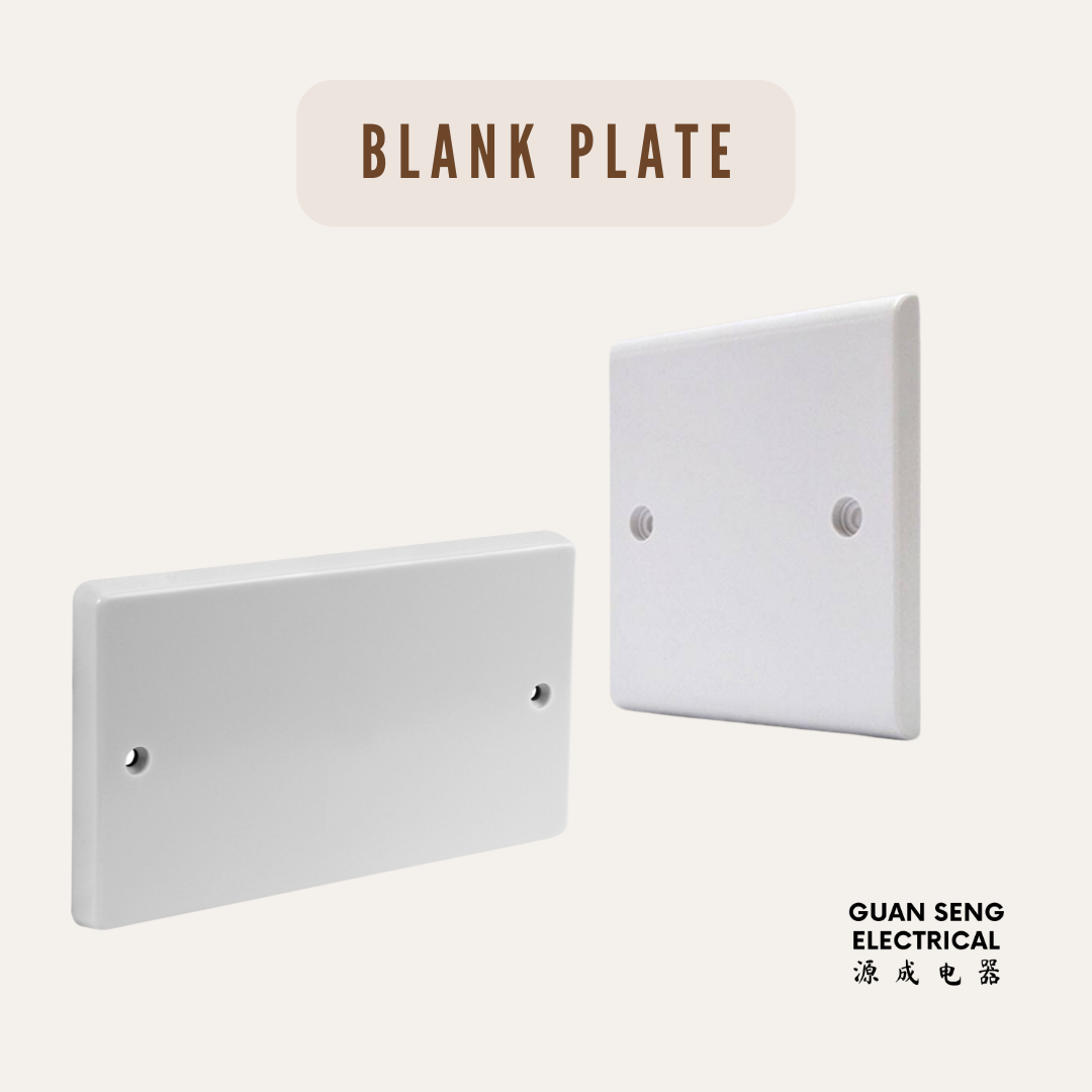 Single Double 1G 2G PVC Blank Plate