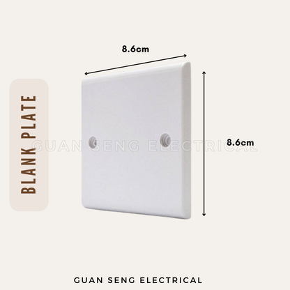 Single Double 1G 2G PVC Blank Plate