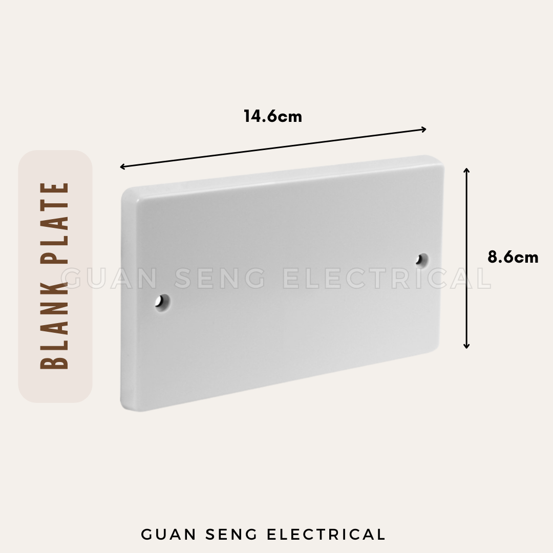 Single Double 1G 2G PVC Blank Plate