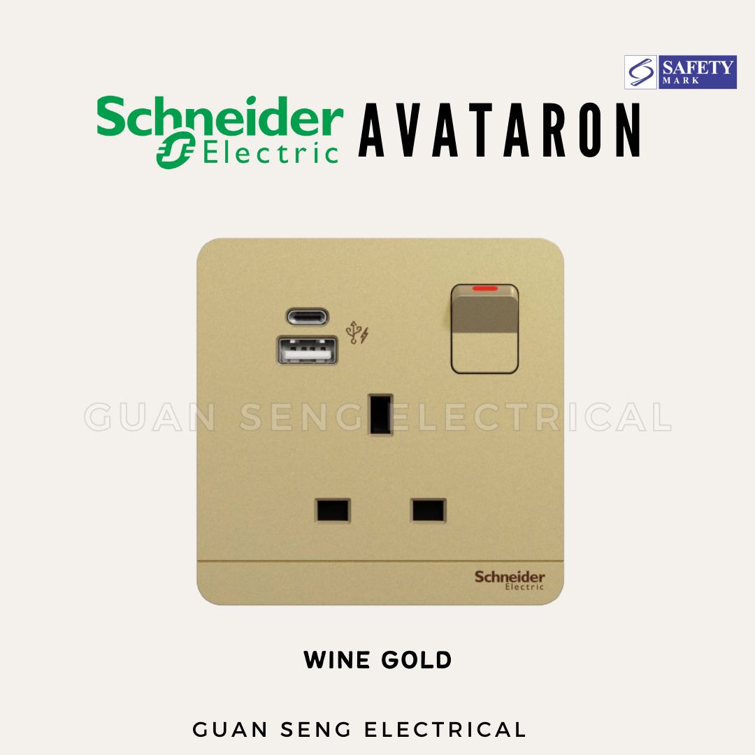 Schneider AvatarON Switched Socket with USB 21W Type A+C