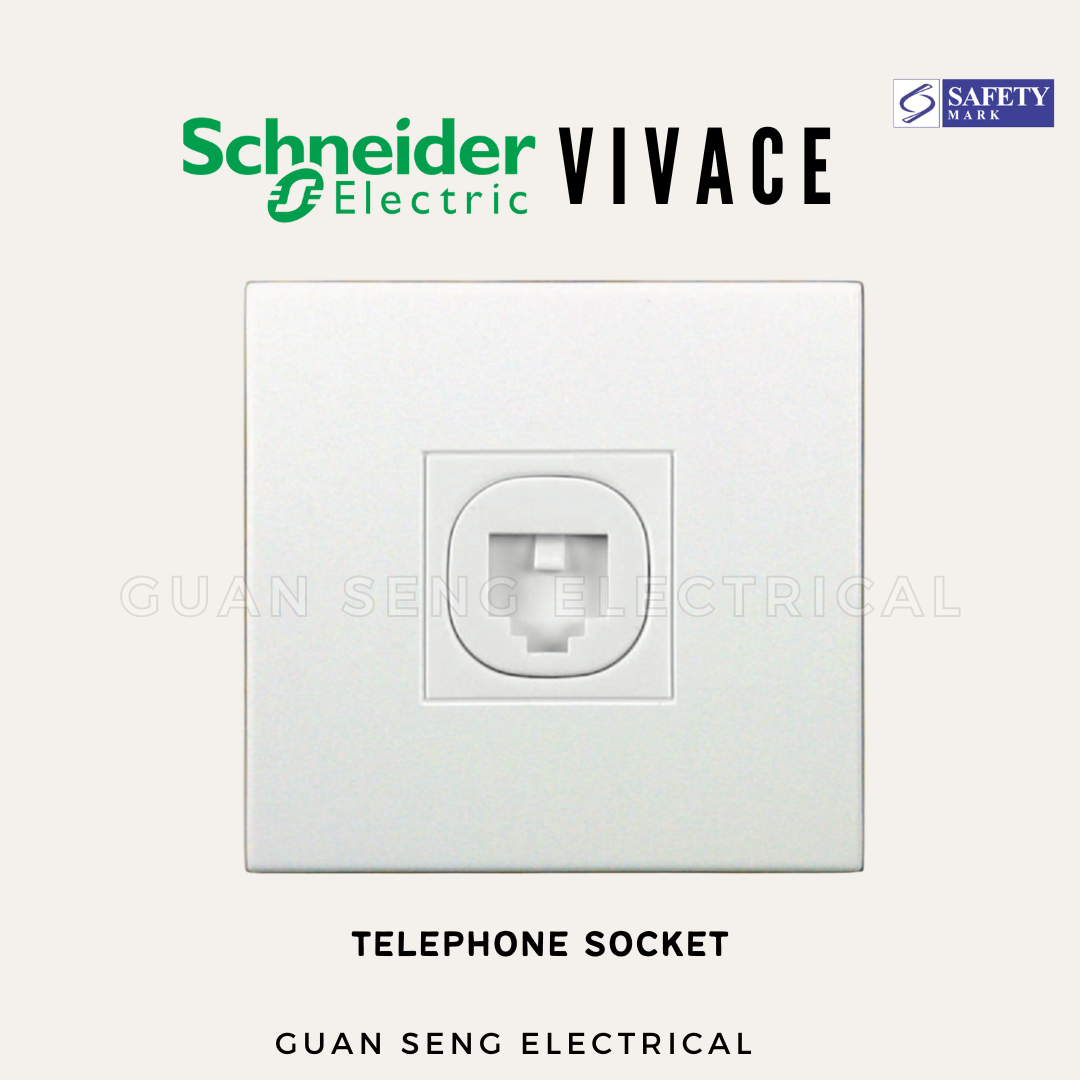 Schneider Electric Vivace Socket and Switch