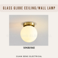 Frosted Glass Globe Wall Light Ceiling Light Black Gold G9 E27