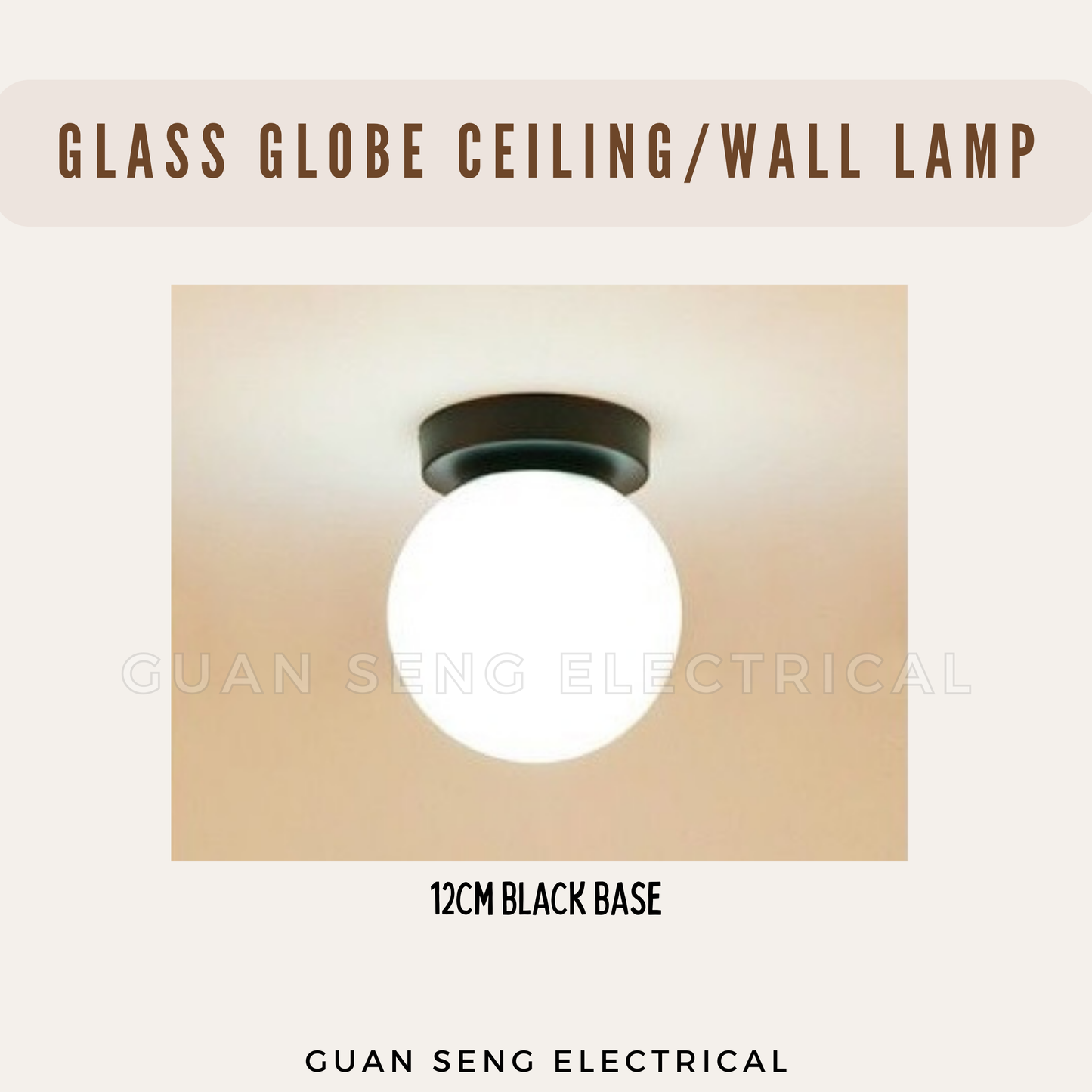 Frosted Glass Globe Wall Light Ceiling Light Black Gold G9 E27