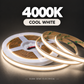 Premium 24V COB LED Strip Light Full Copper 8mm 528LEDS 5M