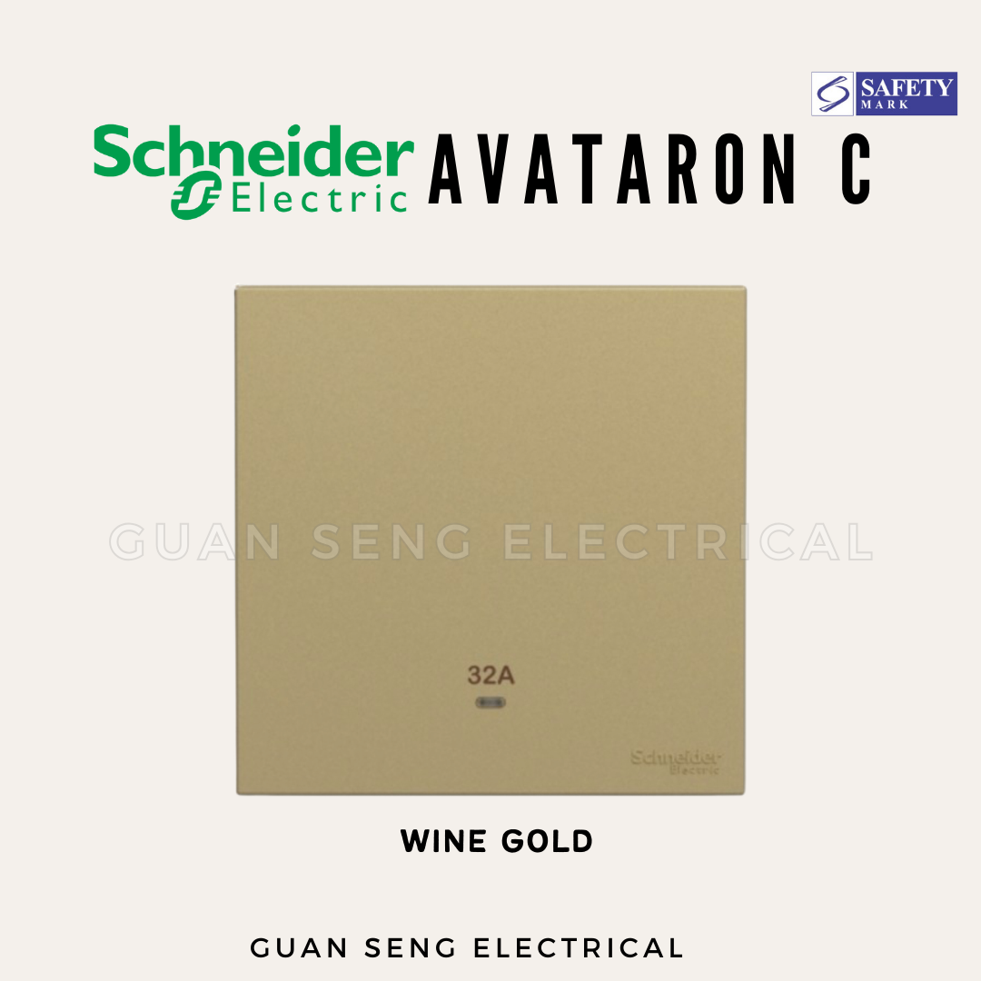 Schneider Avataron C 32A Double Pole Switch with LED
