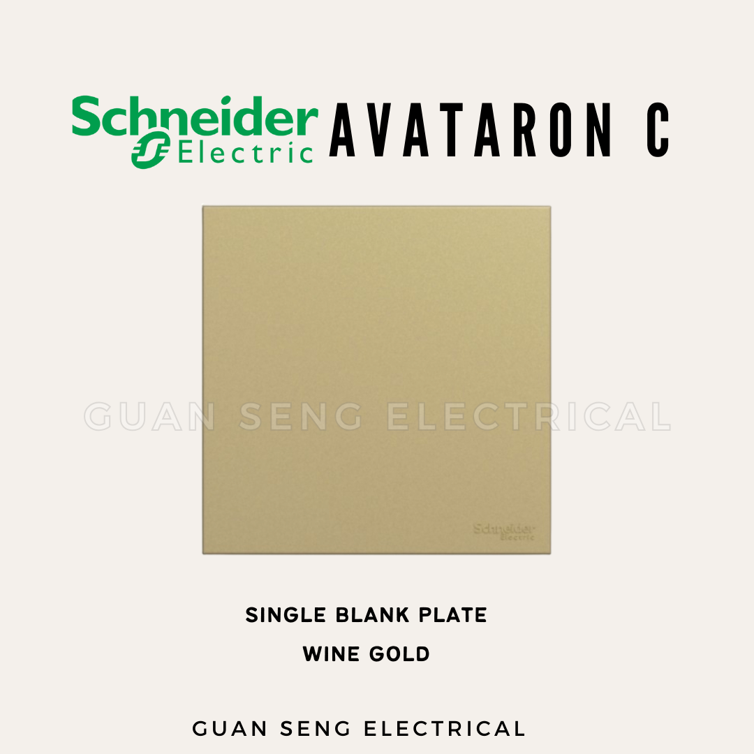Schneider Avataron C Blank Plate 1 Gang 2 Gang