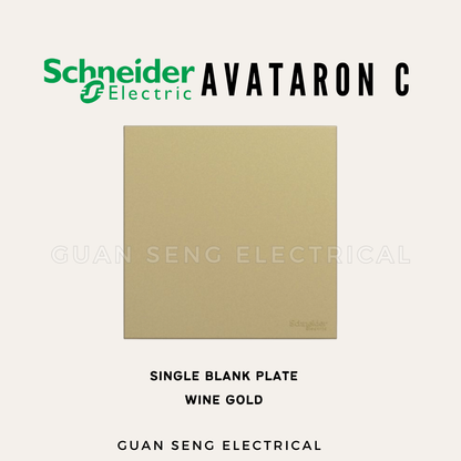 Schneider Avataron C Blank Plate 1 Gang 2 Gang | Guan Seng Electrical Singapore