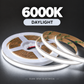 Premium 24V COB LED Strip Light Full Copper 8mm 528LEDS 5M