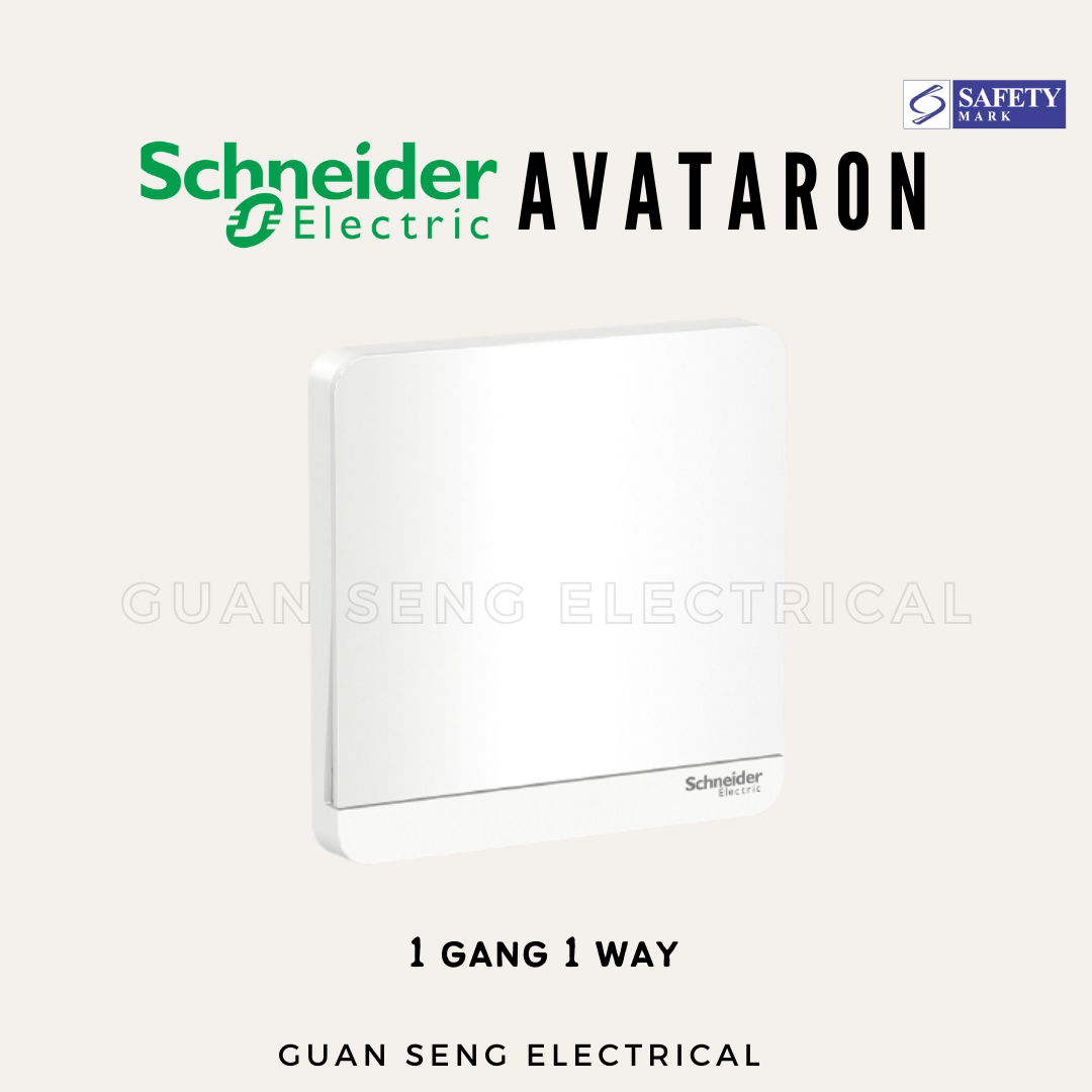 Schneider AvatarON Switch Socket