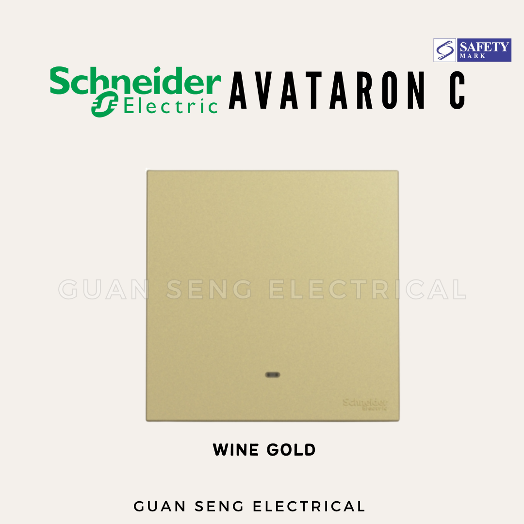 Schneider Avataron C Switch Socket