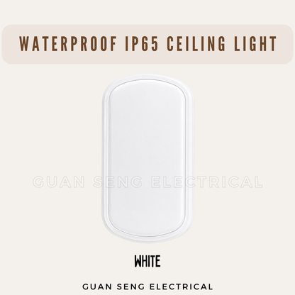 LED IP65 Waterproof Ceiling Light Daylight 6500K 24W | Guan Seng Electrical