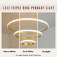 Luxe Triple Ring Pendant Light Black Gold | Guan Seng Electrical