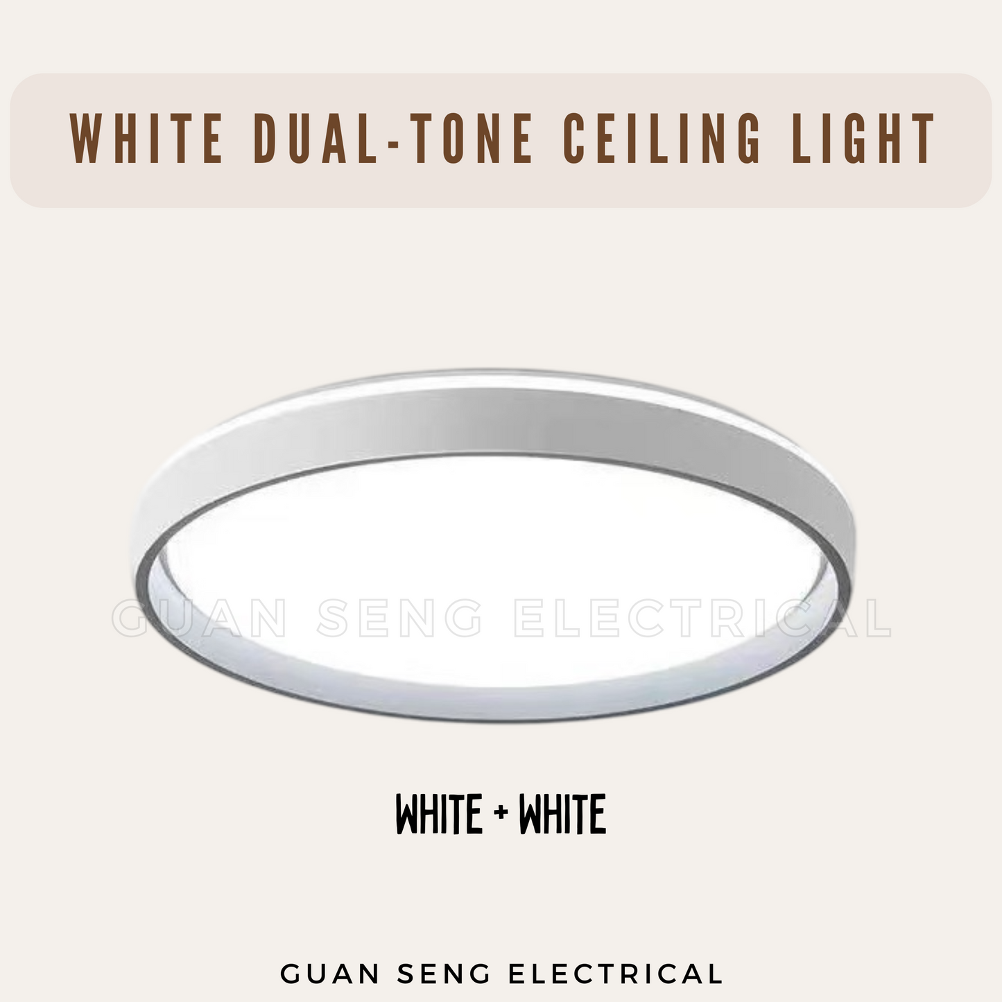 White Dual-Tone Ceiling Light
