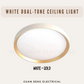 White Dual-Tone Ceiling Light