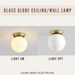 Frosted Glass Globe Wall Light Ceiling Light Black Gold G9 E27