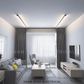 Linear Black Ceiling Light
