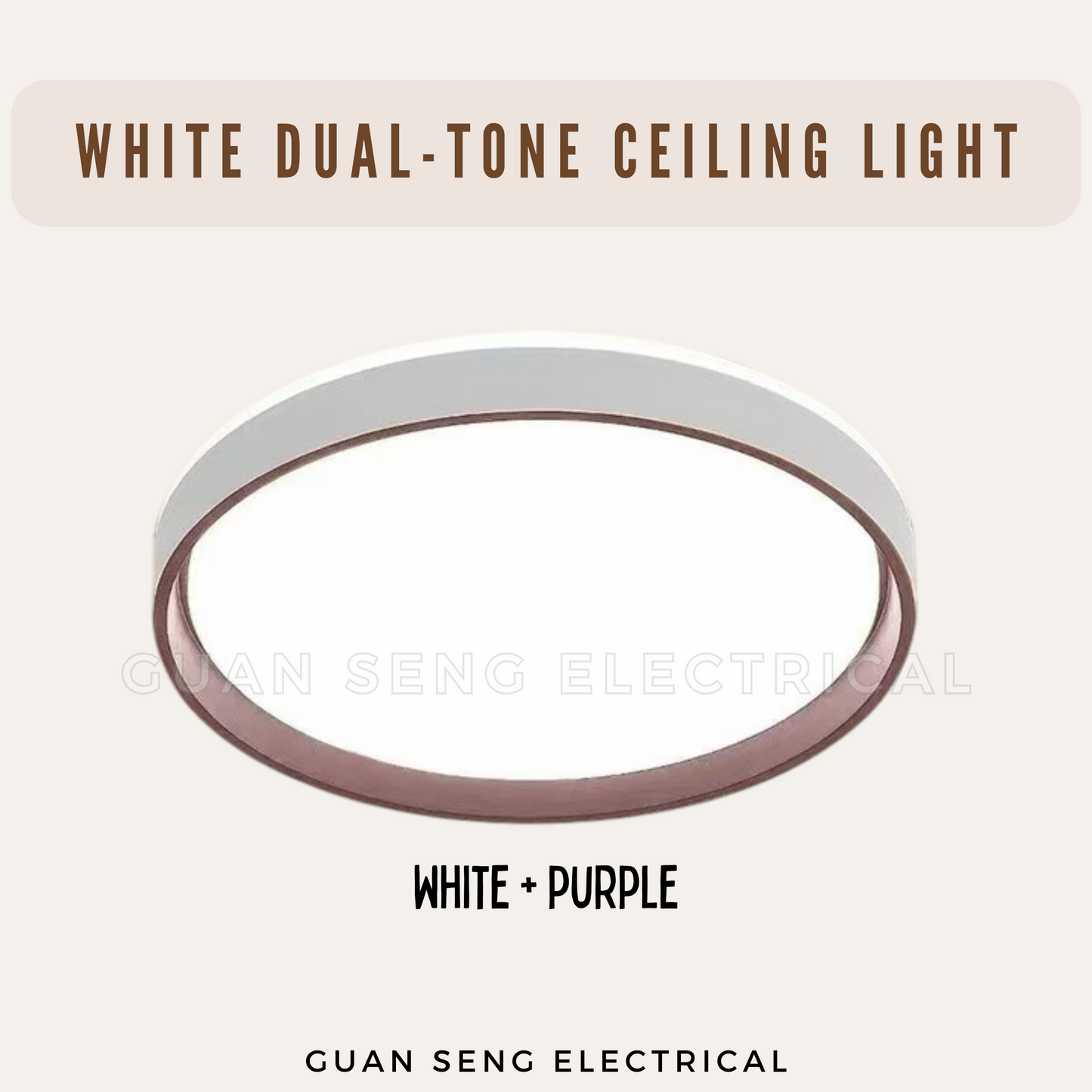 White Dual-Tone Ceiling Light
