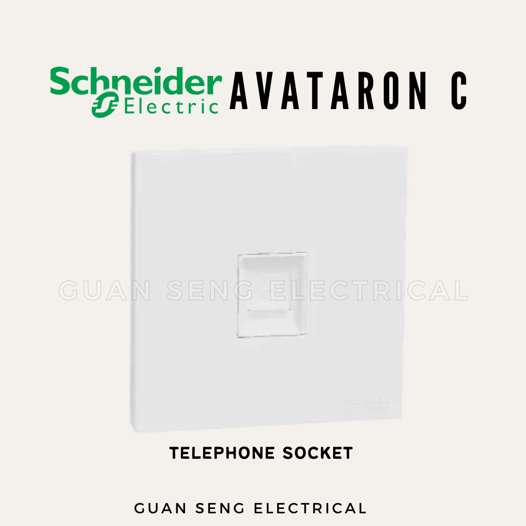 Schneider Avataron C Switch Socket